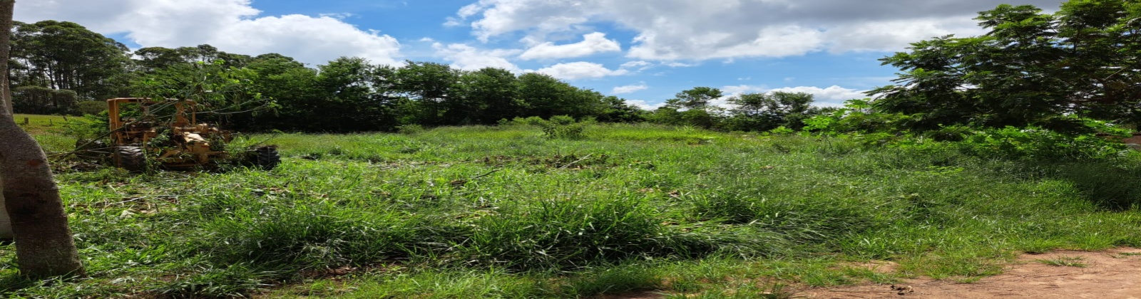Gouveia, ,Lote,Venda,1050