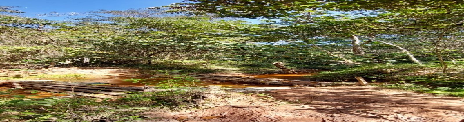 Santo Antônio do Leite, 5 Bedrooms Bedrooms, 12 Rooms Rooms,4 BathroomsBathrooms,Sítio,Venda,1055